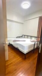 Mount Sophia Suites (D9), Apartment #502835751